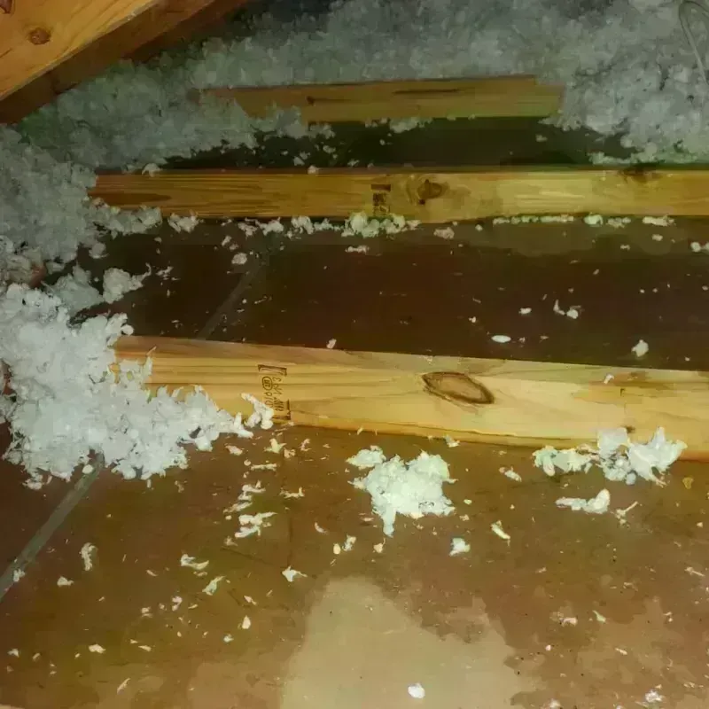 Attic Water Damage in Flushing, MI