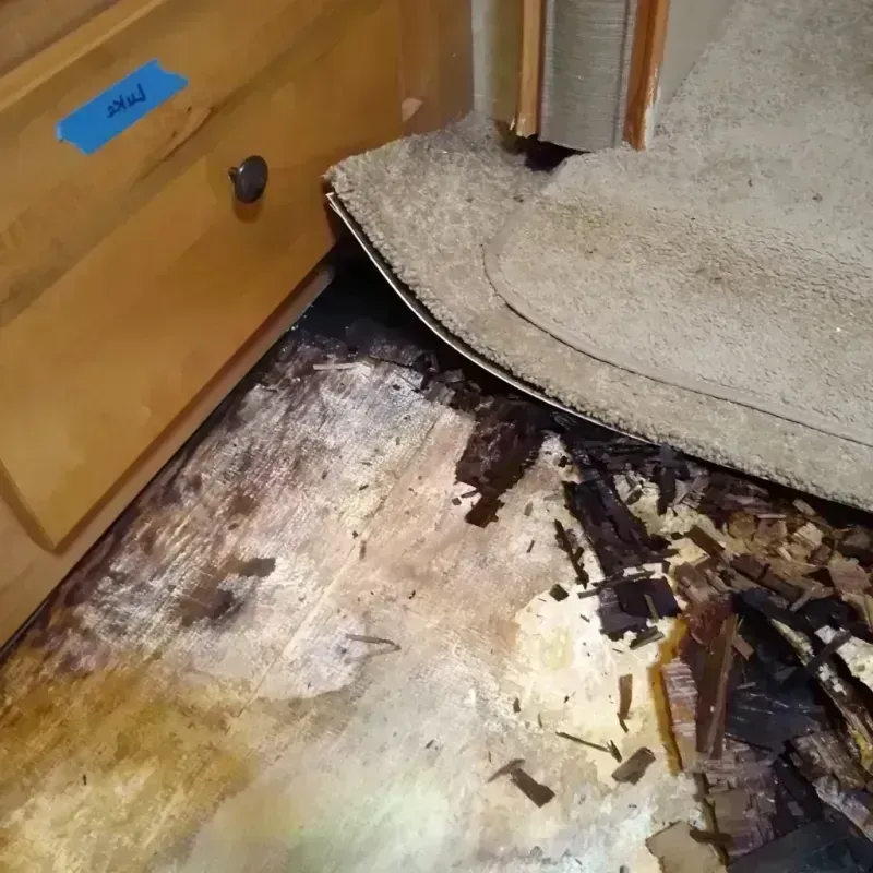 Best Wood Floor Water Damage Service in Flushing, MI